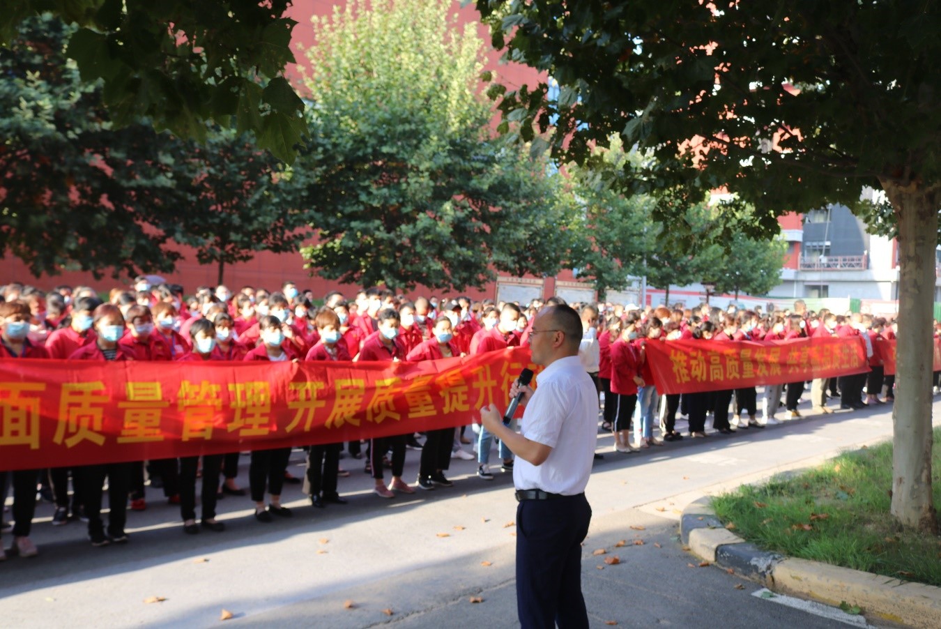 22528cc6d031dddb4d2f3bbf333ff046