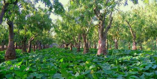 亿万先生mr·(中国区)官方网站