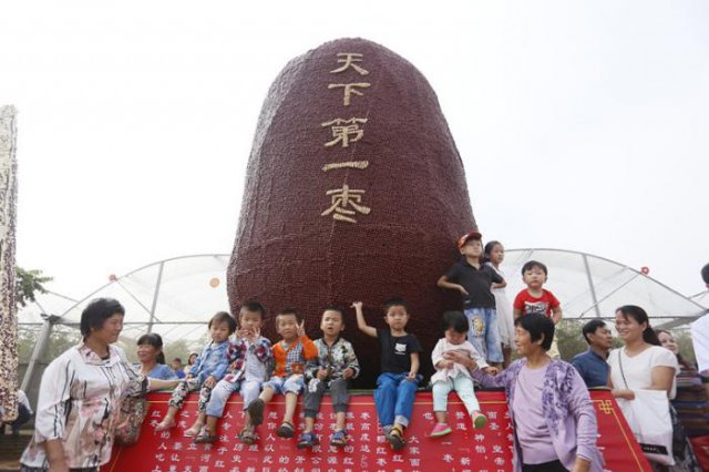 14TI393061950-1MV4_lit