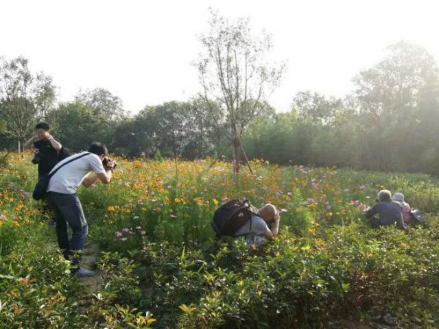 14TI41M12X0-423G1_lit