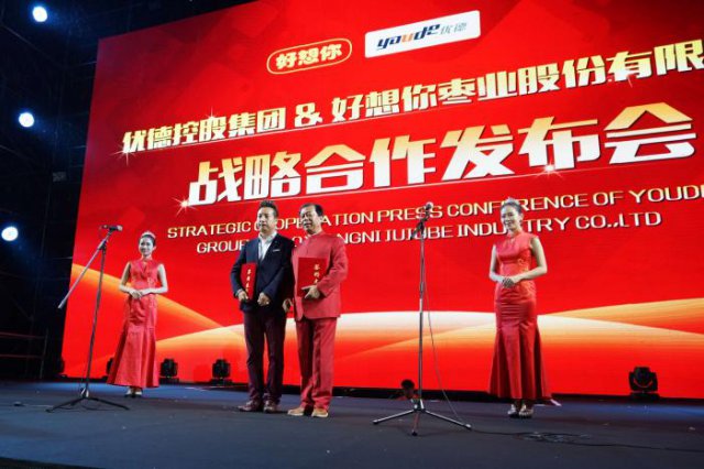 14TI43262Q20-91Z07_lit