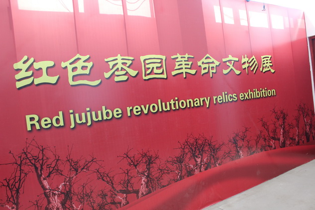 14TI54494G20-21F63_lit